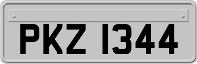 PKZ1344
