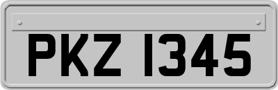 PKZ1345