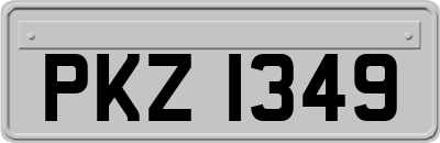 PKZ1349