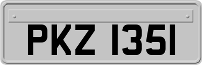 PKZ1351