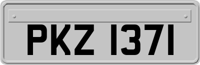 PKZ1371