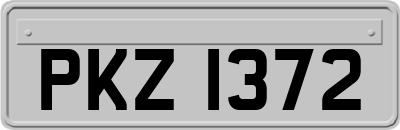 PKZ1372