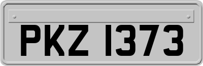 PKZ1373
