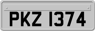 PKZ1374
