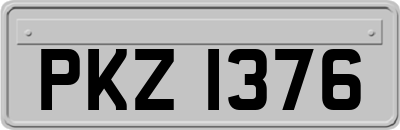 PKZ1376