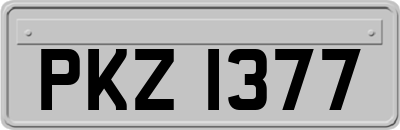 PKZ1377