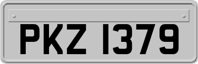 PKZ1379