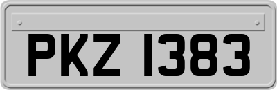 PKZ1383