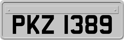 PKZ1389