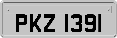 PKZ1391