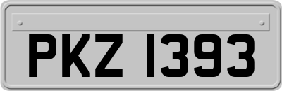 PKZ1393