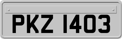 PKZ1403