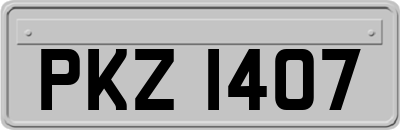 PKZ1407