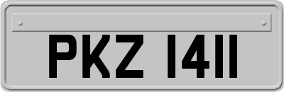 PKZ1411