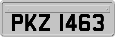 PKZ1463