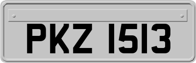 PKZ1513