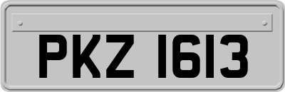 PKZ1613