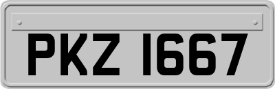 PKZ1667