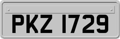 PKZ1729