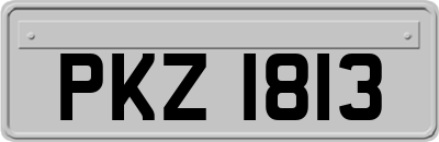 PKZ1813