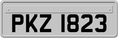 PKZ1823