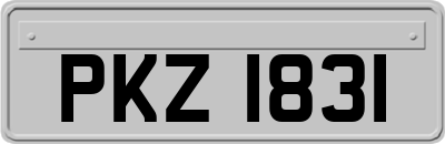 PKZ1831