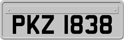 PKZ1838