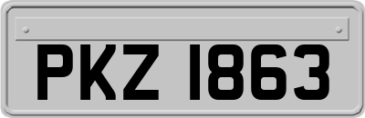 PKZ1863