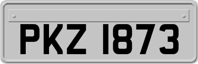 PKZ1873