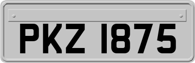 PKZ1875