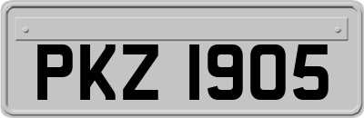 PKZ1905