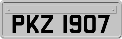 PKZ1907