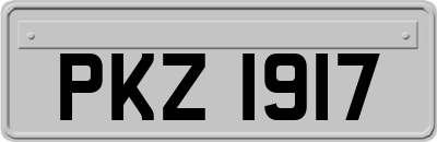 PKZ1917
