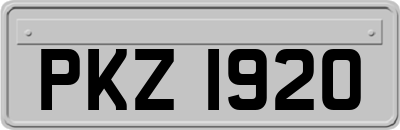 PKZ1920