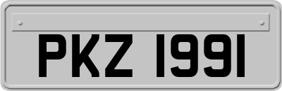 PKZ1991