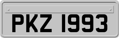 PKZ1993