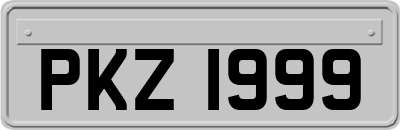 PKZ1999
