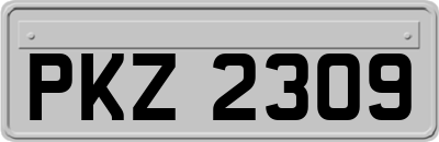 PKZ2309