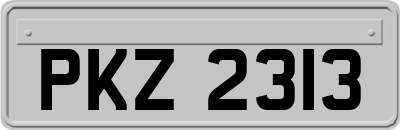 PKZ2313