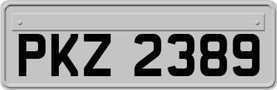 PKZ2389
