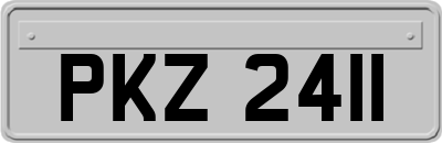 PKZ2411