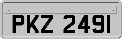 PKZ2491