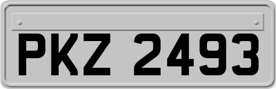 PKZ2493