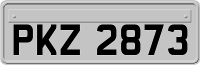 PKZ2873