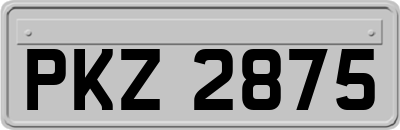 PKZ2875