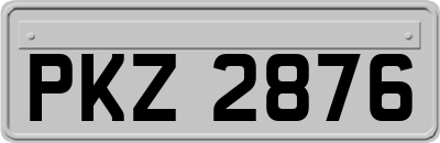 PKZ2876