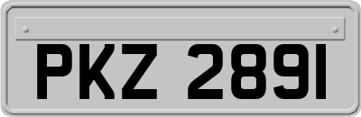 PKZ2891