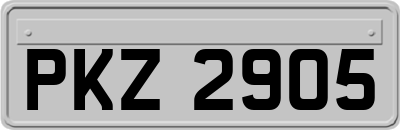 PKZ2905