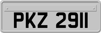PKZ2911