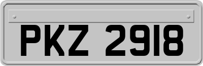PKZ2918